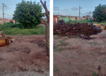Terreno baldio incomoda moradores no Bosque dos Pássaros