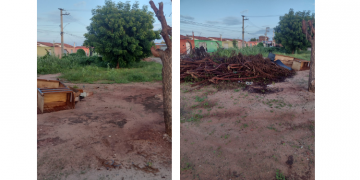 Terreno baldio incomoda moradores no Bosque dos Pássaros