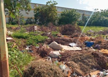 Moradores do bairro Santo Antônio solicitam mutirão da prefeitura