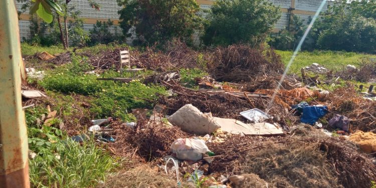 Moradores do bairro Santo Antônio solicitam mutirão da prefeitura