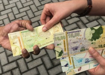 E aqui, aceita gavião? Moeda de Umarizal movimenta comércio local