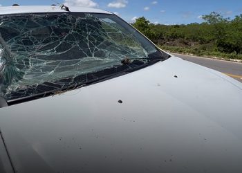 Motorista que teve carro levado por enxurrada: “pensei que iria morrer”