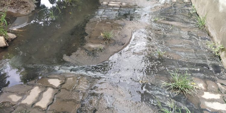 Mau cheiro de esgoto entupido incomoda moradores do Bairro Bom Jardim