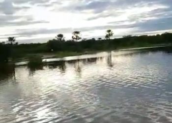 Confira imagens da sangria do açude Pataxó