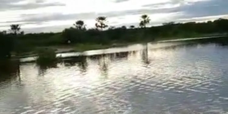 Confira imagens da sangria do açude Pataxó