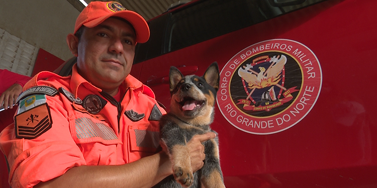 Corpo de Bombeiros ganha reforço especial em Mossoró