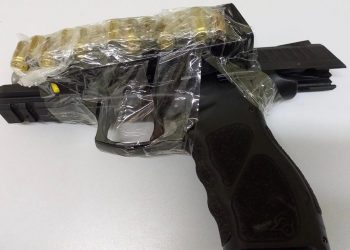 Vigilante mata cachorro com 12 tiros no bairro Nova Mossoró