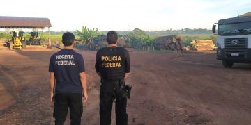 Operação combate comercialização e transporte ilegal de madeiras do Pará para o RN e PB