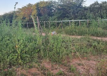 Homem é encontrado morto com marcas de tiros na Estrada da Alagoinha em Mossoró