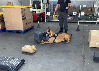 PF apreende quase 8 kg de maconha enviada pelos correios no RN