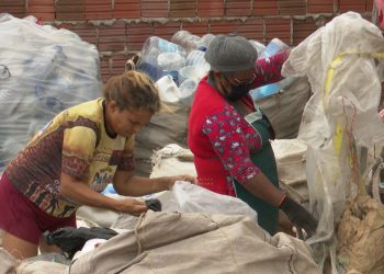 Projeto universitário cria vaquinha solidária para ajudar a Acrevi