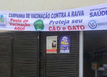 Mossoró dá início a vacinação antirrábica para cães e gatos
