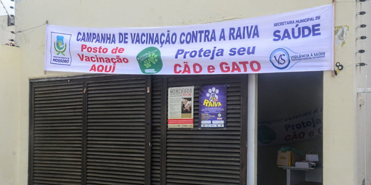 Mossoró dá início a vacinação antirrábica para cães e gatos