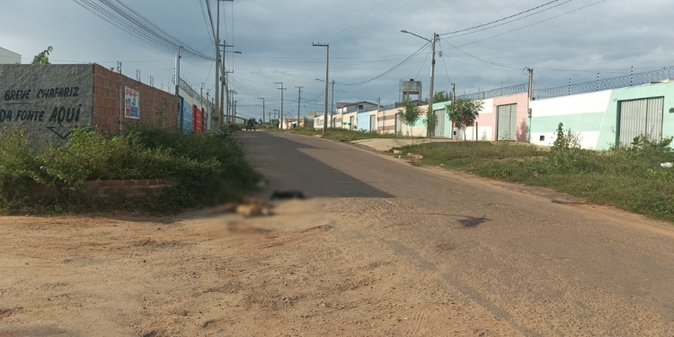 Ônibus escolar em alta velocidade atropela e mata três cachorros
