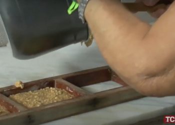 Conheça a rapadura de Castanha de Caju feita em Severiano Melo