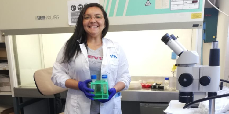 Quem tem força vai a Roma