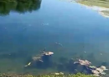 Corpo é encontrado no rio em Governador Dix-Sept Rosado