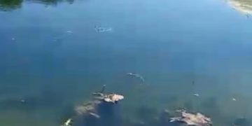 Corpo é encontrado no rio em Governador Dix-Sept Rosado