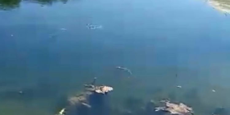 Corpo é encontrado no rio em Governador Dix-Sept Rosado