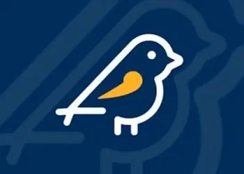 Aplicativo ‘Pardal’ recebe denúncias de irregularidades na propaganda eleitoral