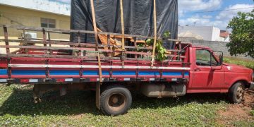 Funcionário é preso suspeito de furtar placas de energia solar