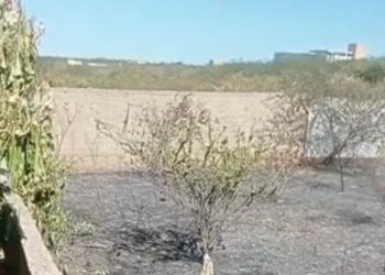 Fogo ateado em terrenos baldios coloca moradores em risco em Mossoró