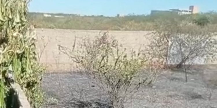 Fogo ateado em terrenos baldios coloca moradores em risco em Mossoró