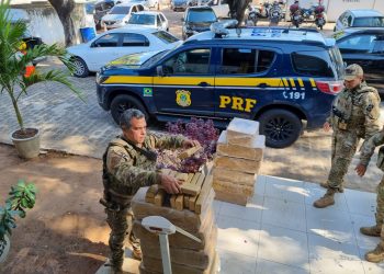 PRF apreende grande quantidade de maconha no Agreste Potiguar