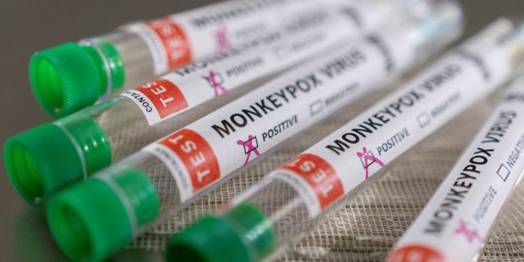 Avanço da ‘Varíola dos Macacos’ é lento comparado à Covid19