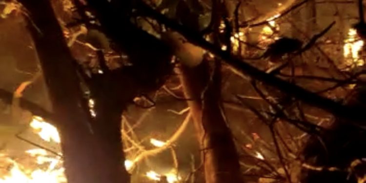 Incêndio em terreno baldio assusta moradores em Tibau