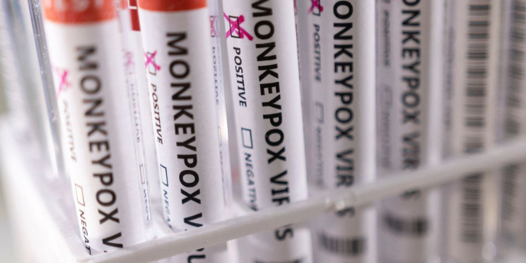 RN chega a 31 casos de varíola dos macacos confirmados