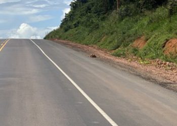 Dnit anuncia interdição na BR 101 para esta sexta-feira