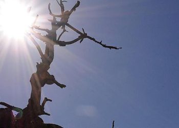 Tempo seco e baixa umidade do ar são um risco para saúde, alerta nutricionista