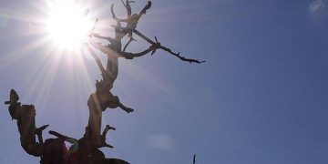 Tempo seco e baixa umidade do ar são um risco para saúde, alerta nutricionista