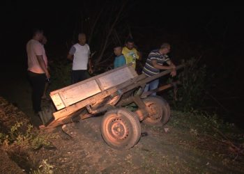 Acidente: caminhão bate em uma carroça na BR 405