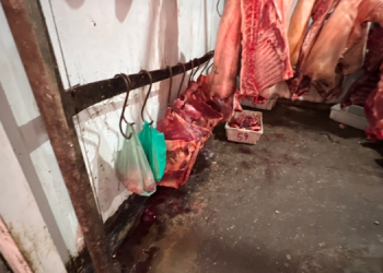 Imagens mostram estado do Mercado Público de Assú