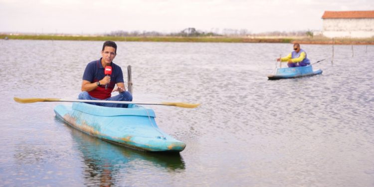 Camarão do RN e CE é tema de série especial do Jornalismo TCM