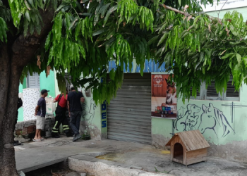 Adestrador é atacado por cachorro em Assú