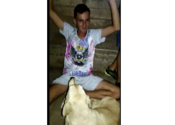 Potiguar reencontra cachorro desaparecido durante bloco de carnaval