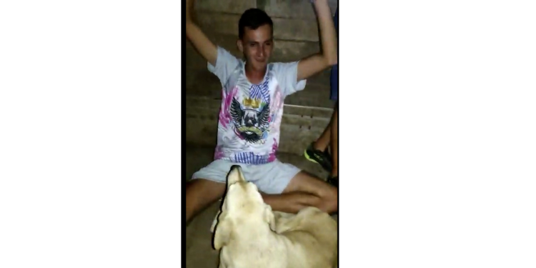 Potiguar reencontra cachorro desaparecido durante bloco de carnaval