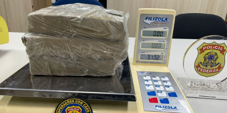 PF apreende cerca de 5 kg de drogas transportadas pelos Correios no RN