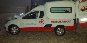 Ambulância da Prefeitura de Lucrécia colide com animal na RN 017