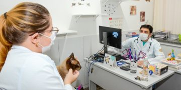 Trabalho de Medicina Veterinária recebe reconhecimento internacional