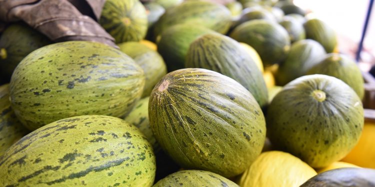 Produtos do agronegócio responderam por 34,5% das exportações do RN em 2022