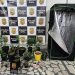 Homem é preso cultivando maconha dentro de casa em Mossoró