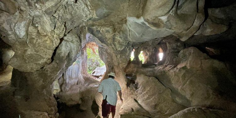 Idema realiza estudos nas Cavernas de Martins