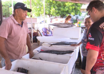 72,7% dos mossoroenses devem consumir pescados na Semana Santa