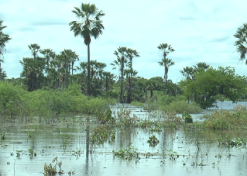 Com aumento do nível do Apanha Peixe, Apodi e Felipe Guerra emitem alerta à população