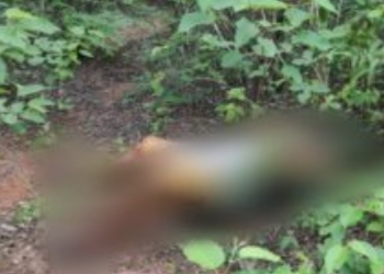 Corpo de mulher é encontrado em decomposição em Serra do Mel