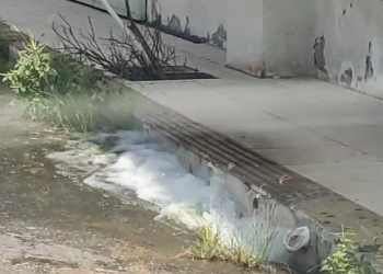 Baleia mossoroense está viva? Água saindo da parte de trás do Teatro chama a atenção da população